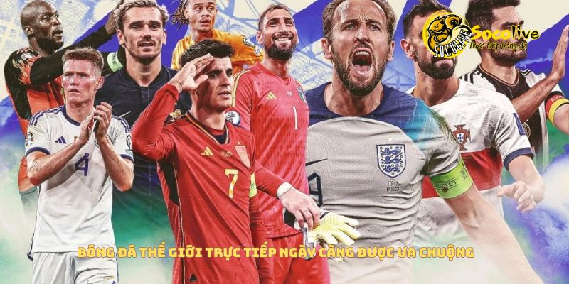 bóng đá thế giới trực tiếp ngày càng được ưa chuộng